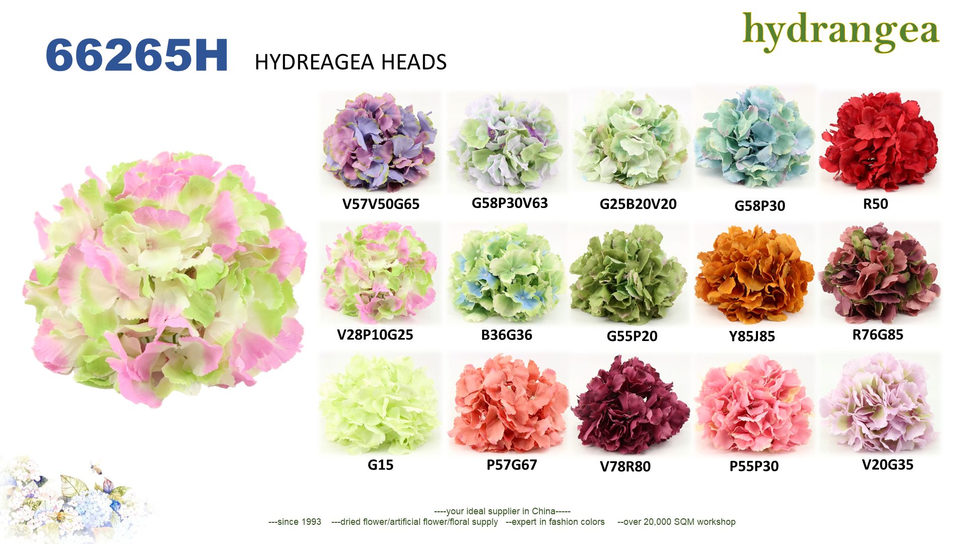 Hydreagea Heads