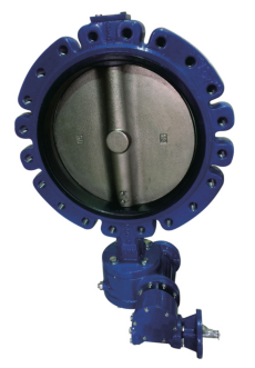 Lug type butterfly valve