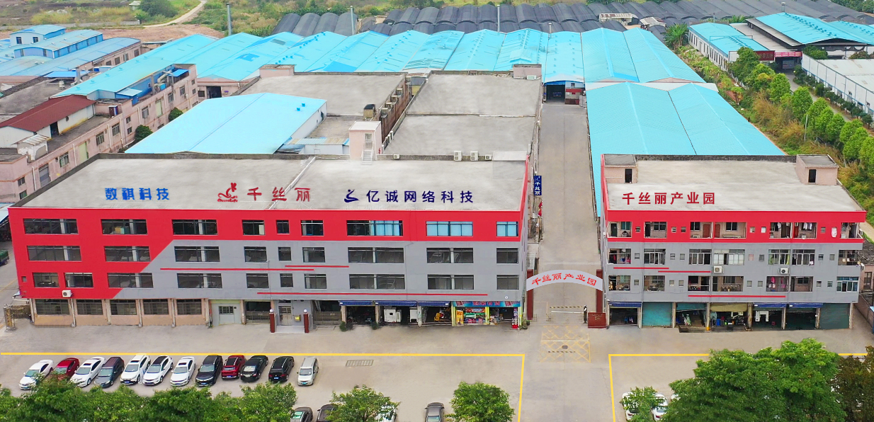 Guangzhou Qiansilai Textile Co., Ltd. – Lace 1