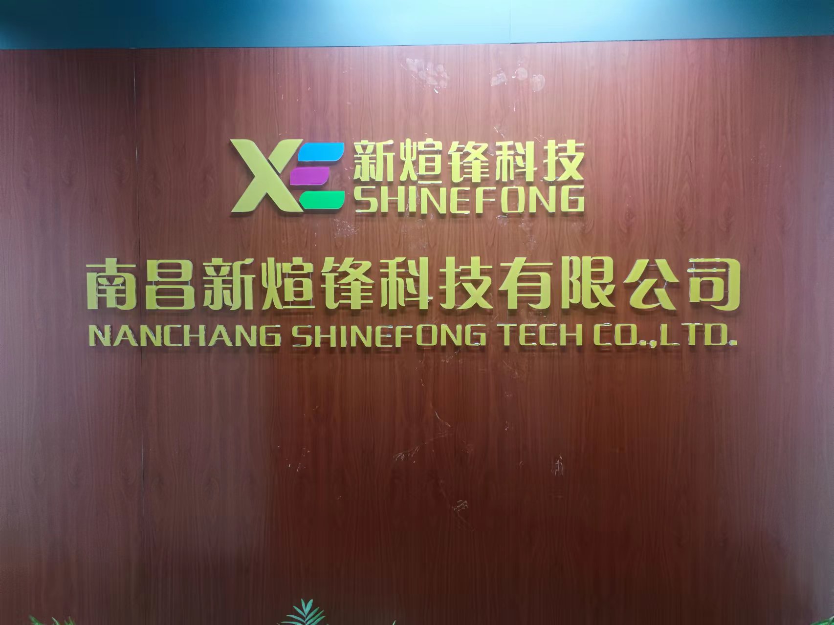 Nanchang Xinxuanfeng Technology Co., Ltd. – placa de circuito 1