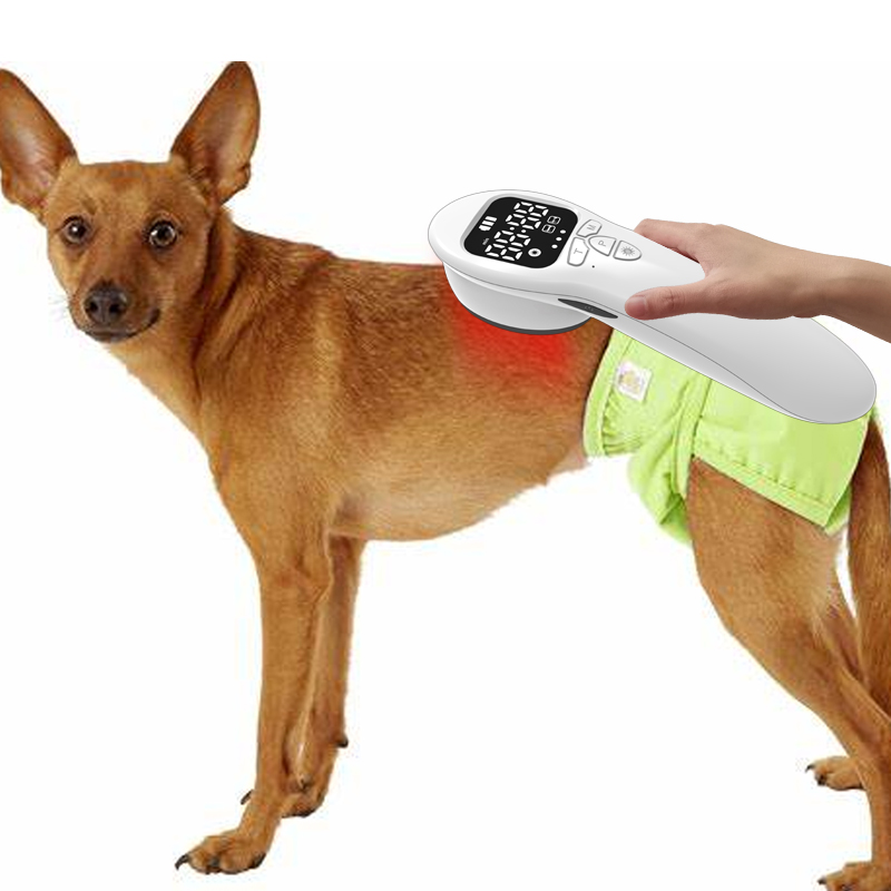 COZING-T03 veterinary use handy laser pain relief device with customized laser