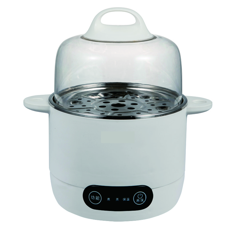 electric steamer