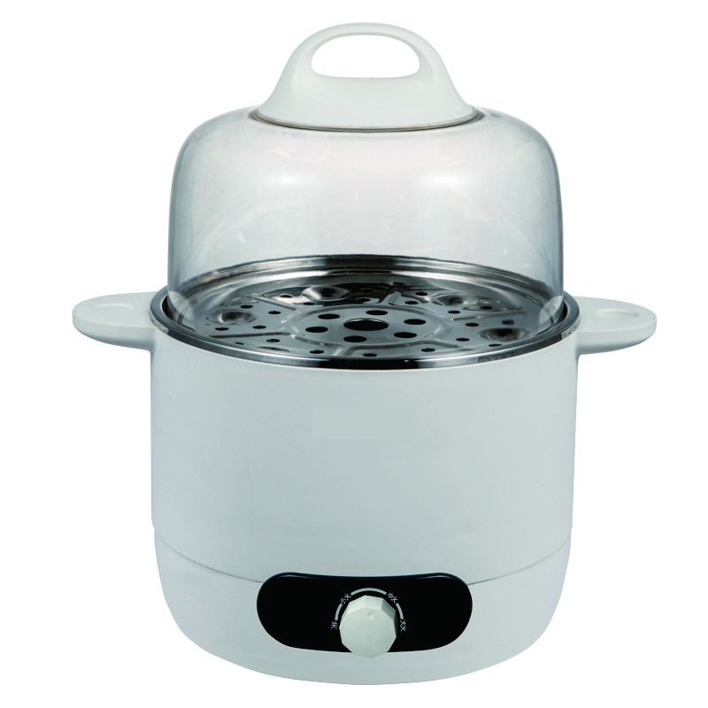 electric steamer