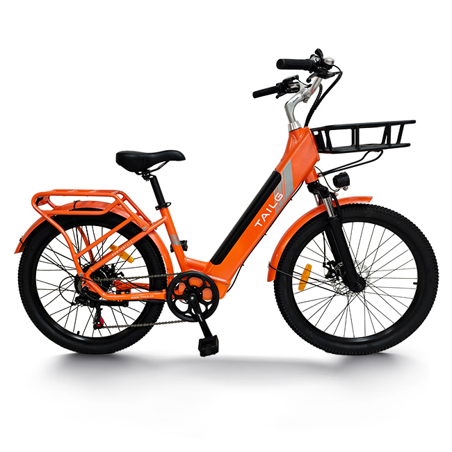 DONGGUAN TAILG TRADING CO., LTD – Other Electric Bicycles 2