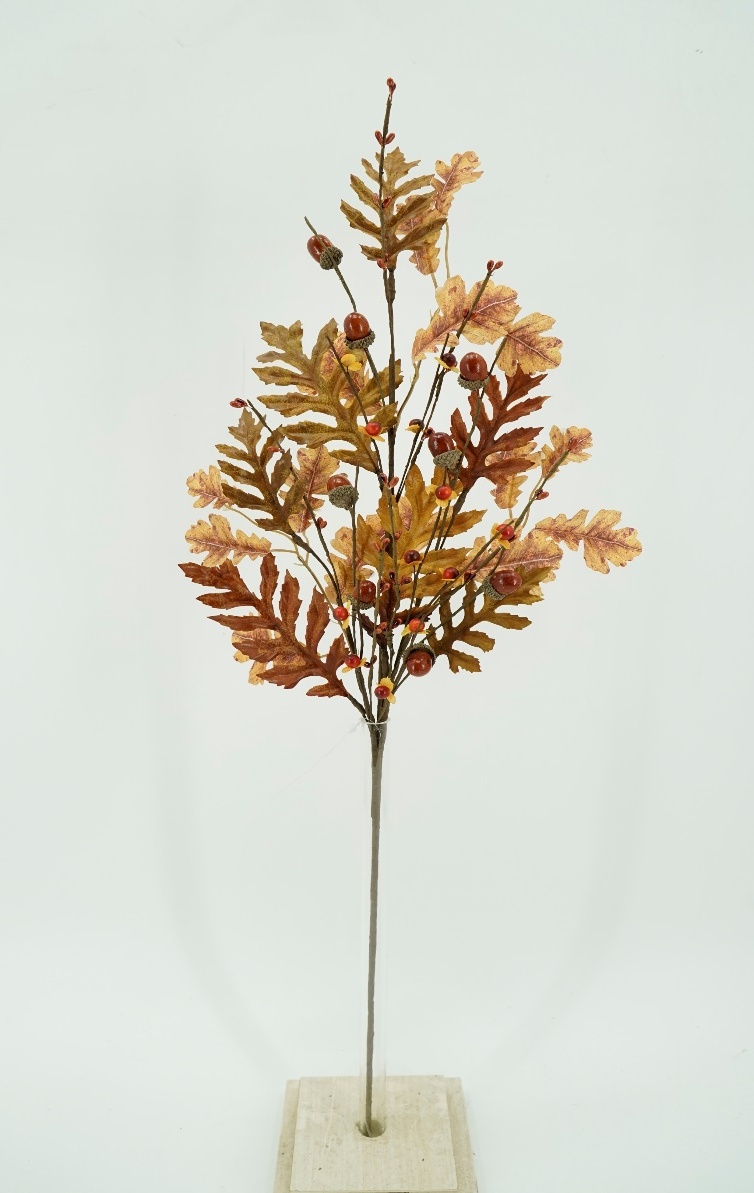 Leaf stem