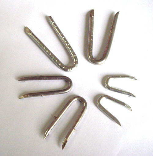 U staple