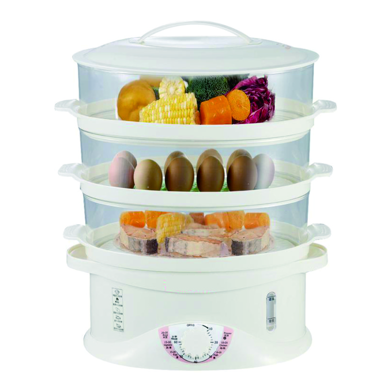 electric steamer