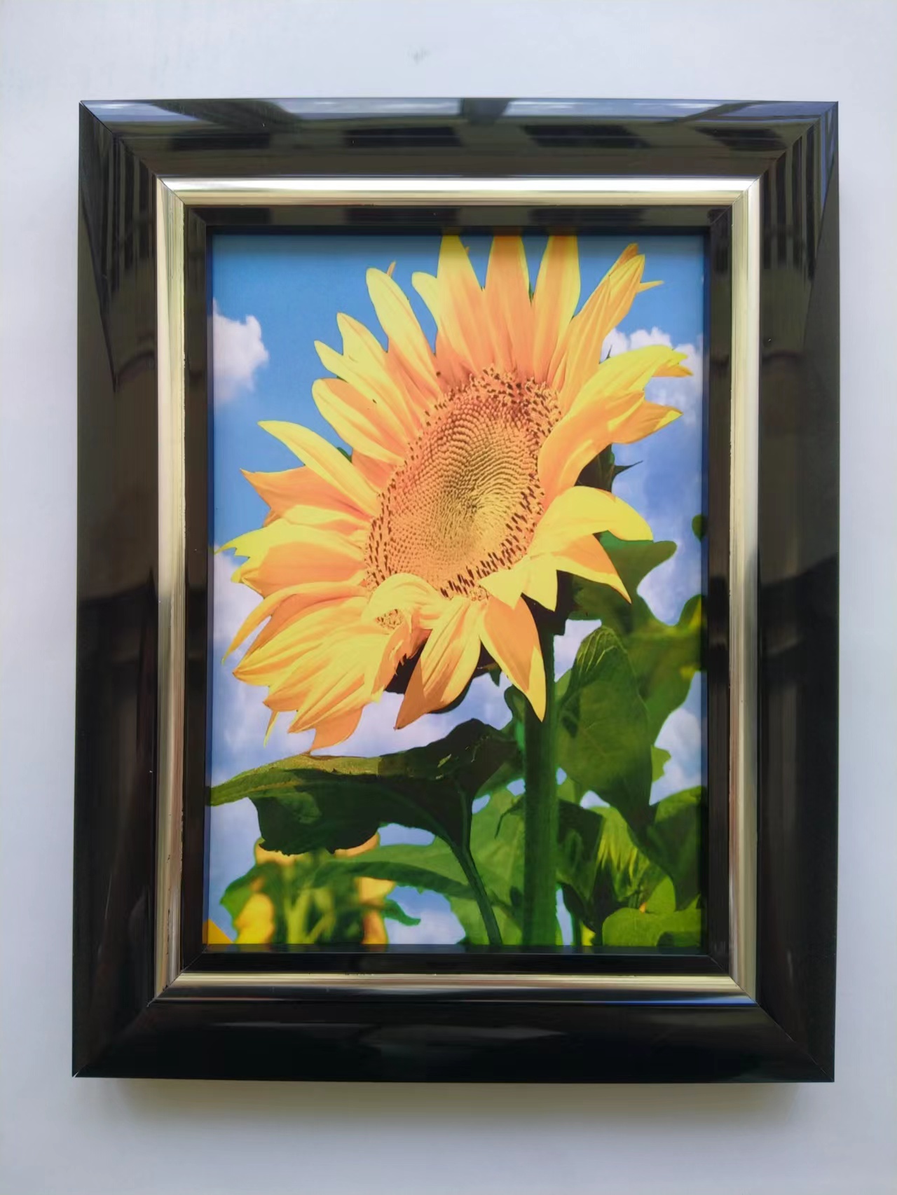 Picture frame PVC BS32