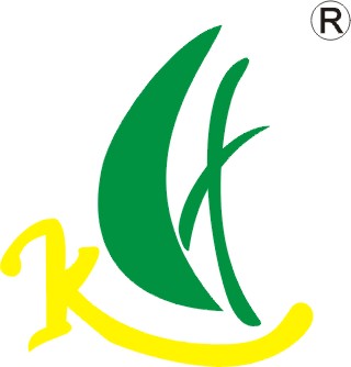Shantou Chuangxin Technology Electronics Co., Ltd.