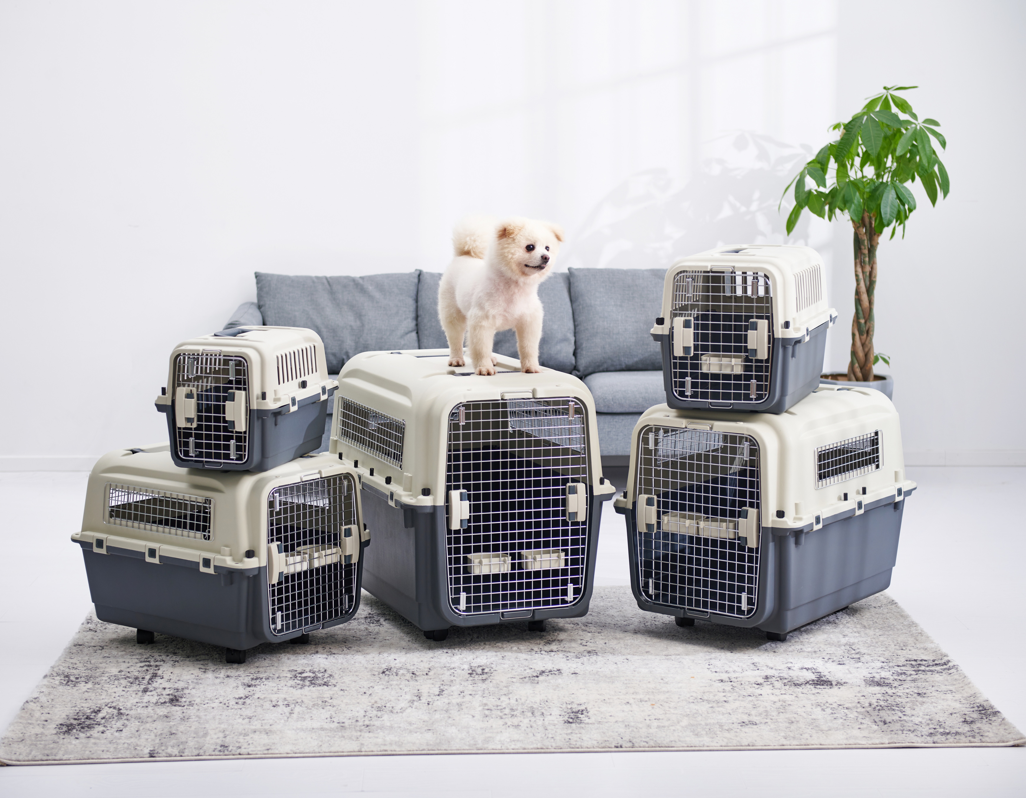 IATA Pet Carrier