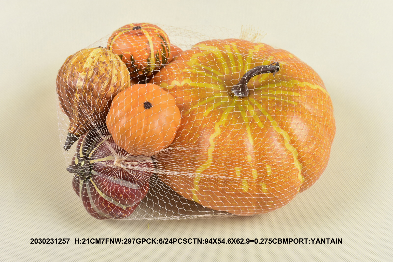 Autumn harvest pumpkin