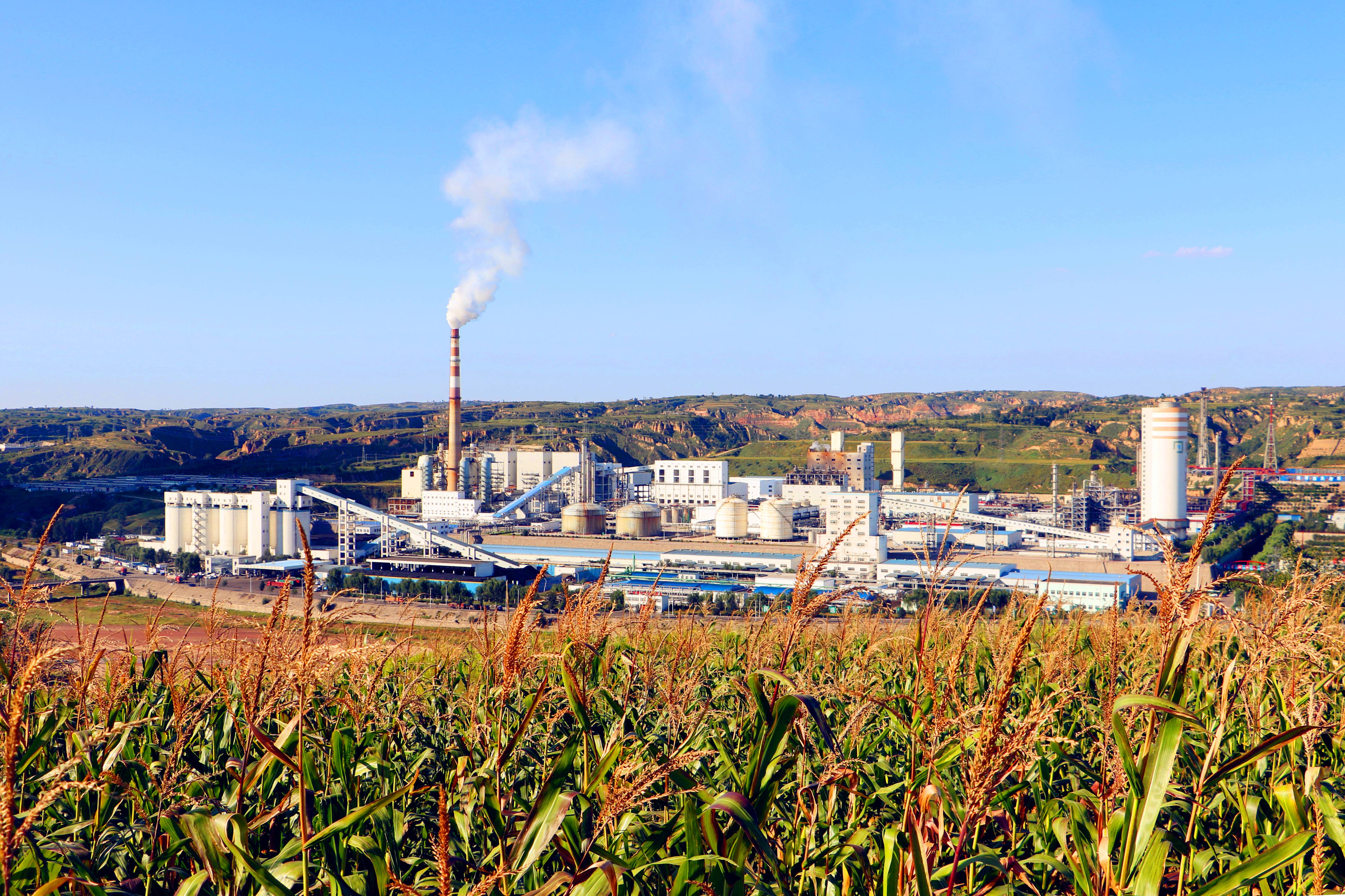Shaanxi Newor Trading Co., Ltd. – Fertilizers 1