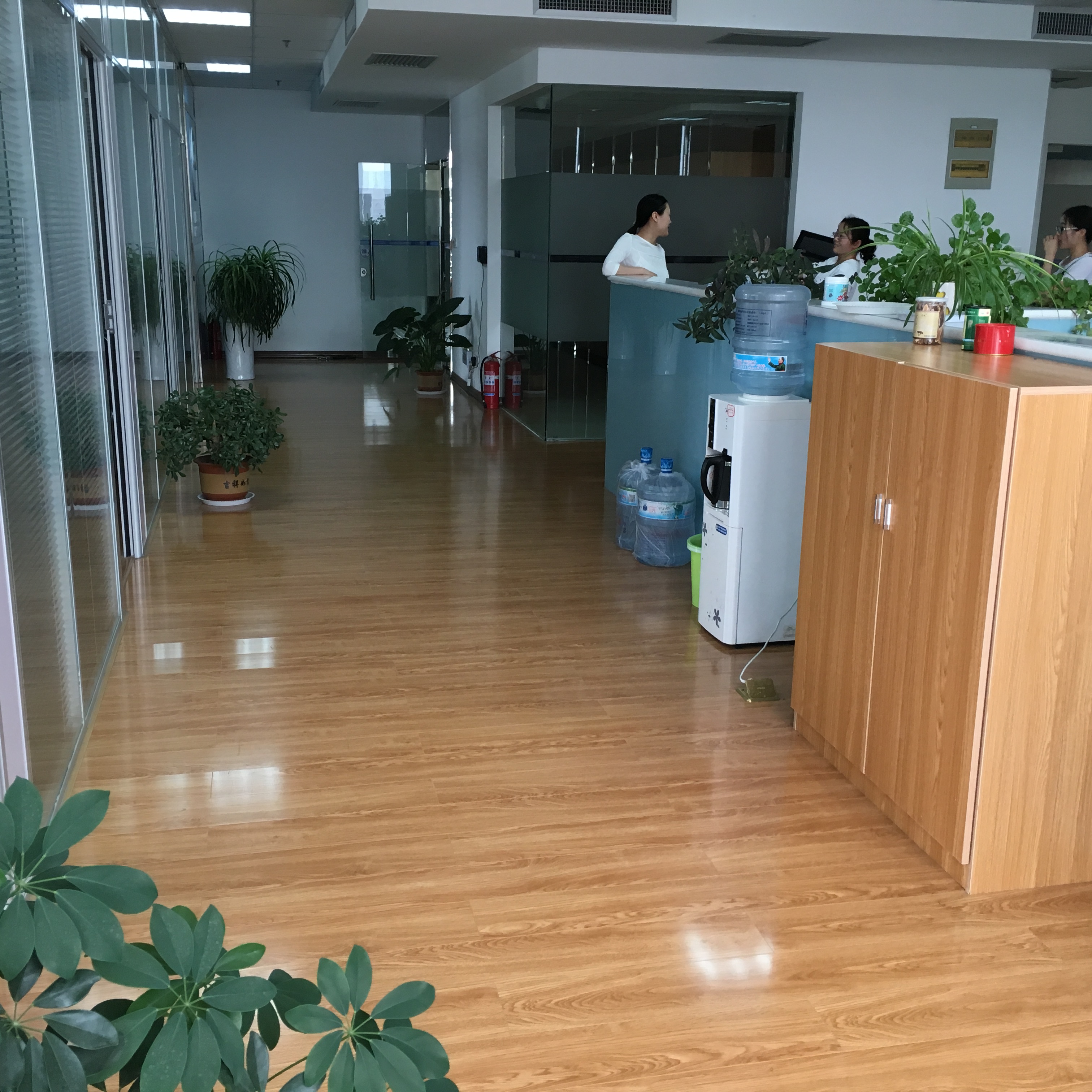 Linyi Angpeng International Trading Co., Ltd. – tornillo de acero 1