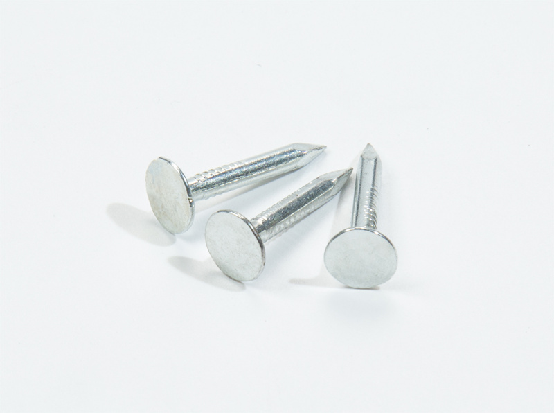clout nail, felt nail, linoleum nail, bulk roofing nail