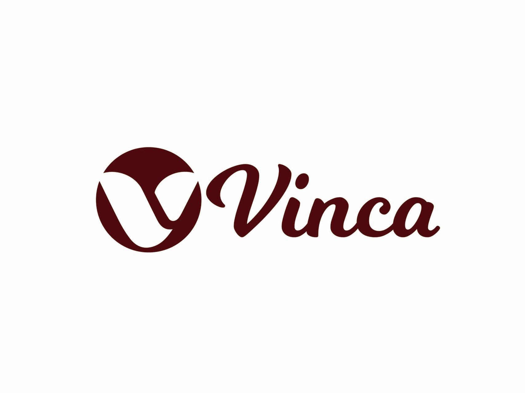 SHENZHEN VINCA COMPANY LIMITED