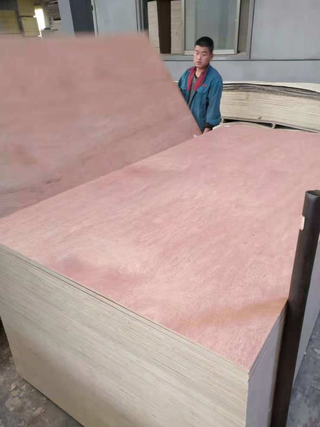 Linyi plywood, commercial plywood, furniture plywood, construction plywood, okoume bintangor plywood