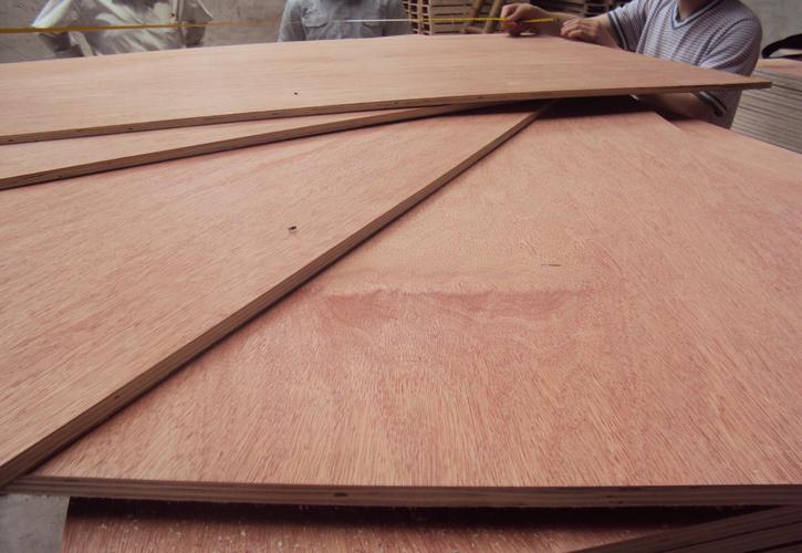 Bintangor plywood