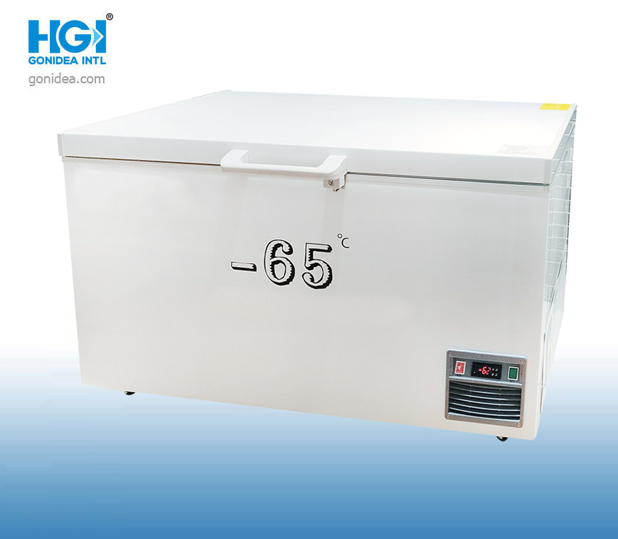 -65 Degree 300L Ultra-Low Temperature Freezer Chest Style Bd/Bc-300L65