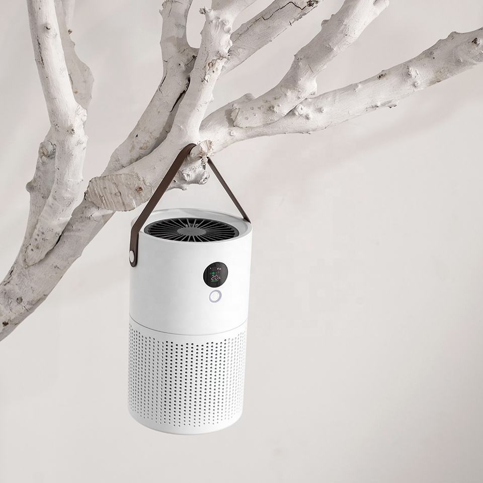 Anion Air Purifier