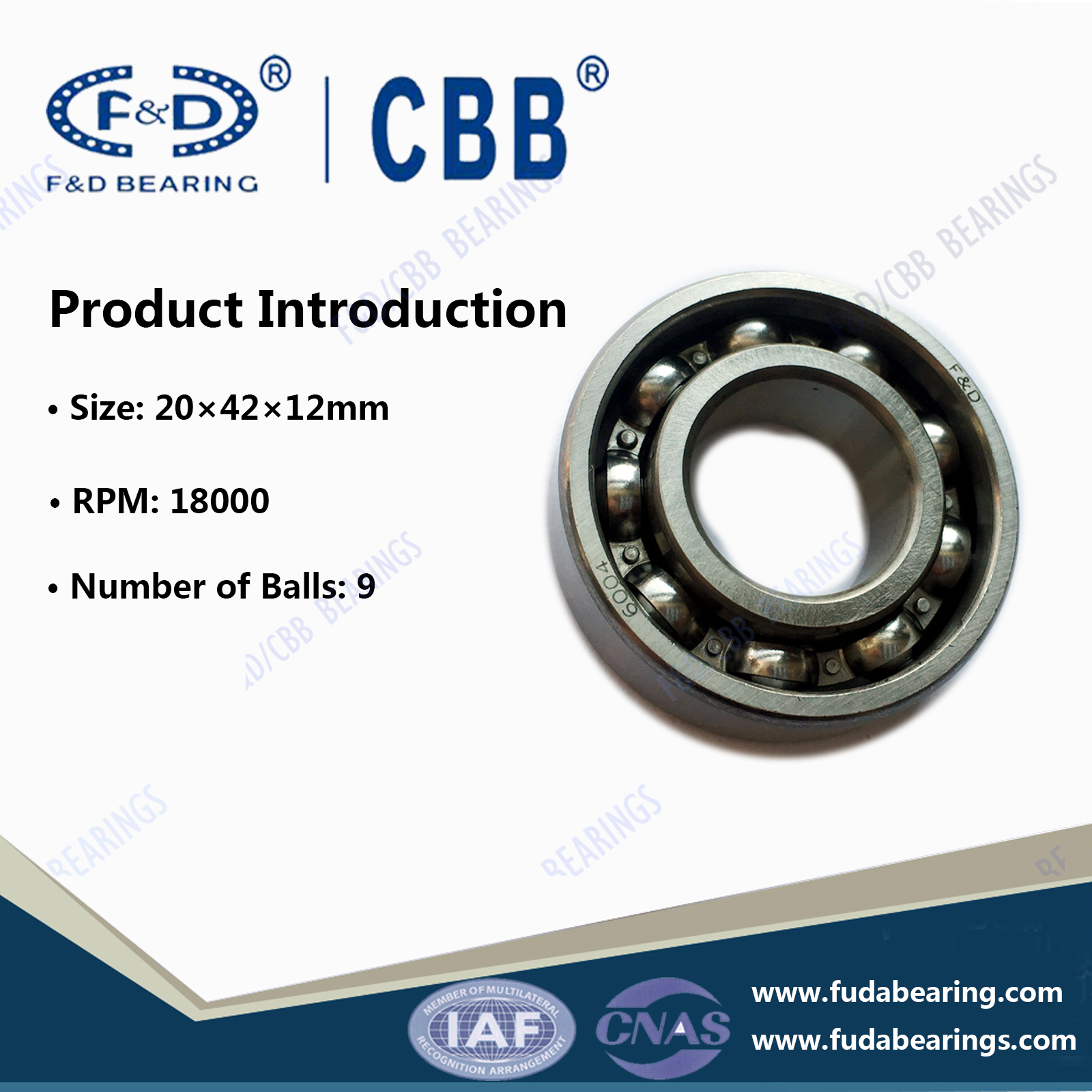 6004 Plain Bearing