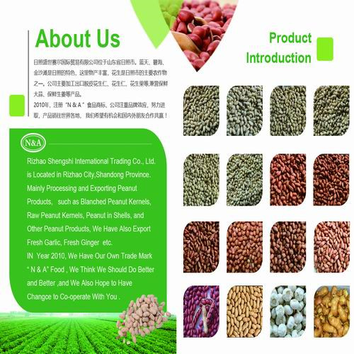 Rizhao Shengshi Sai'er International Trading Co., Ltd. – Photos produits 2