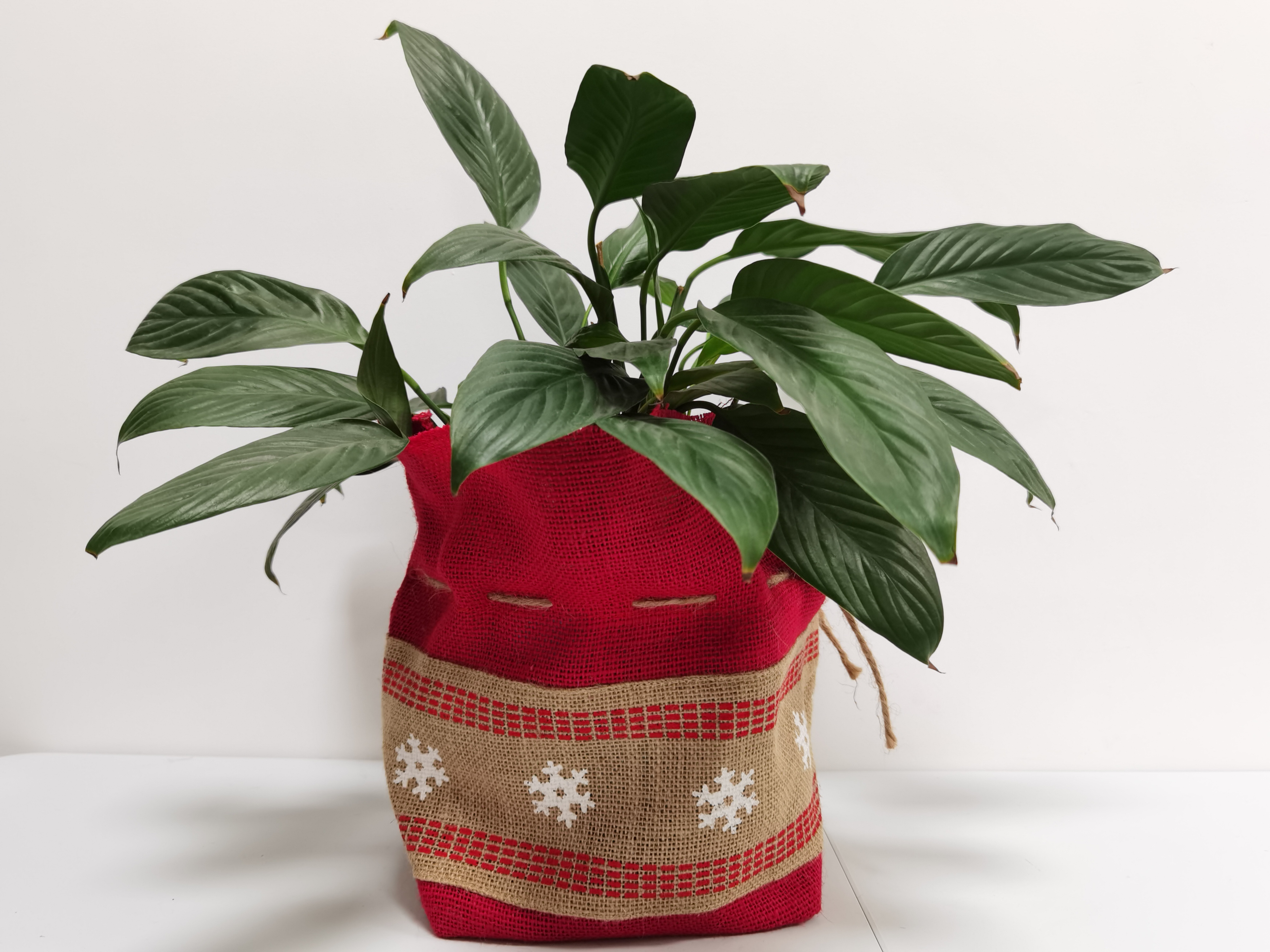 Jute Bag