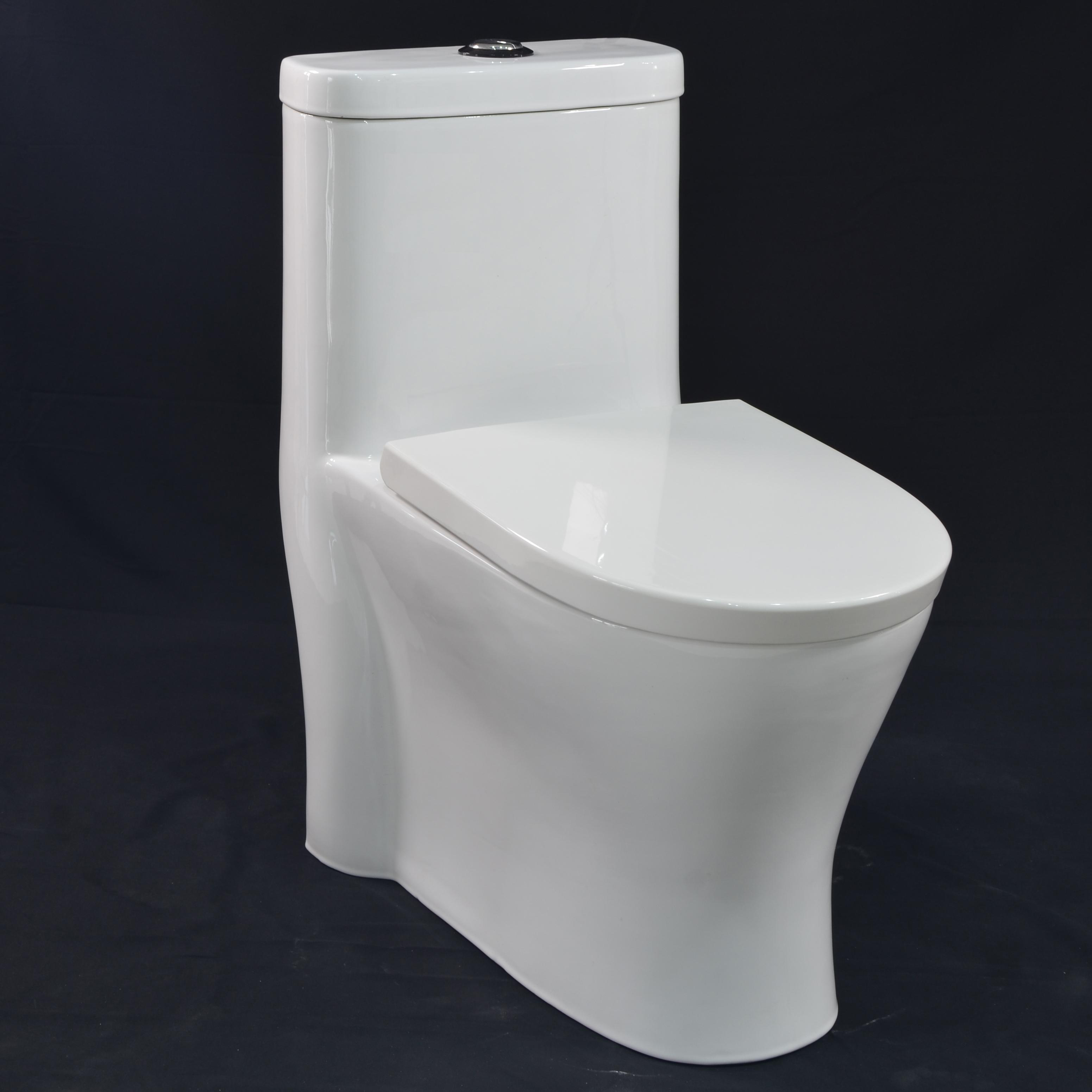 One Piece Toilet