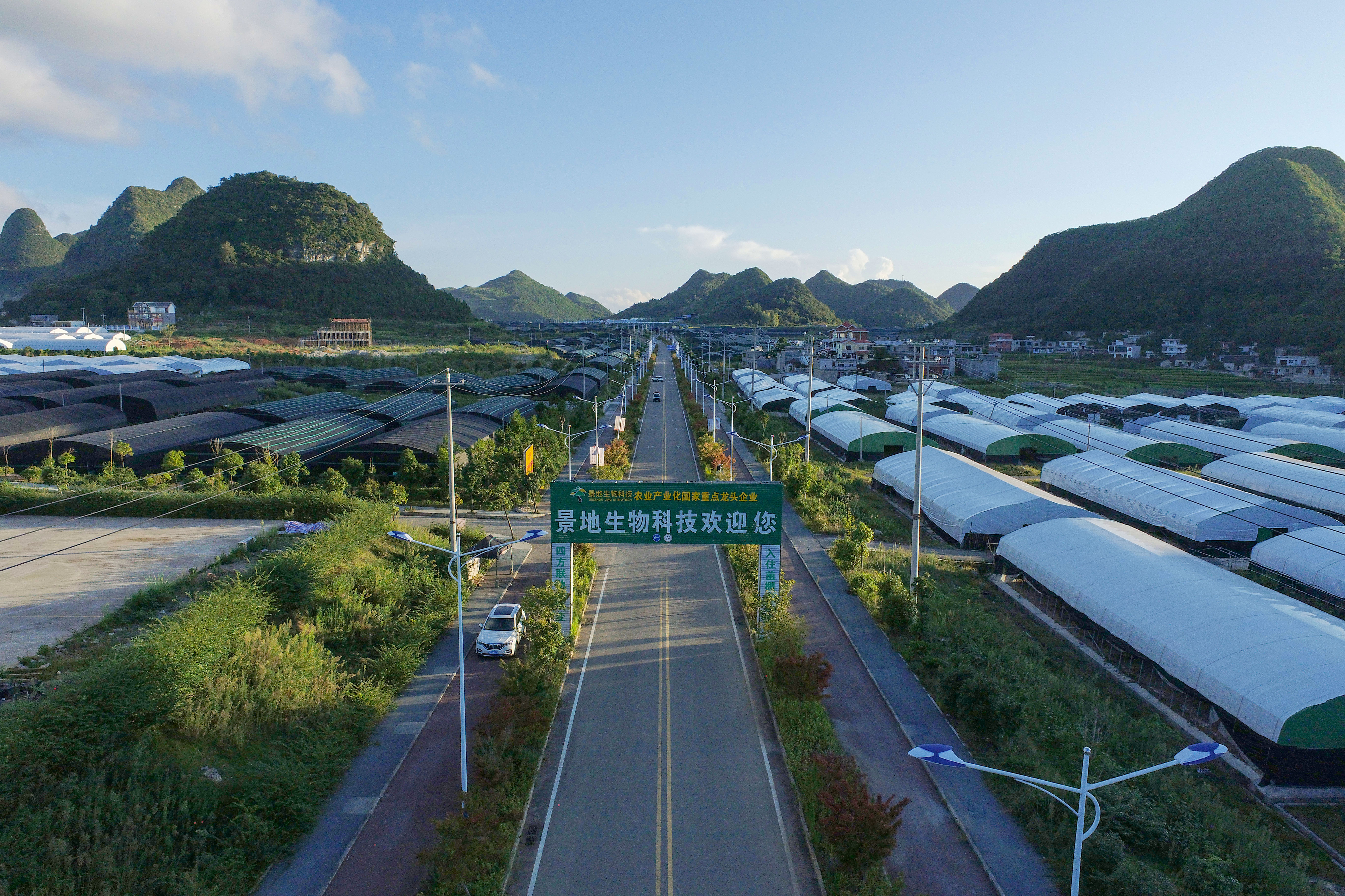 Guizhou Jingdi Biotechnology Co., Ltd. – 菇类 1