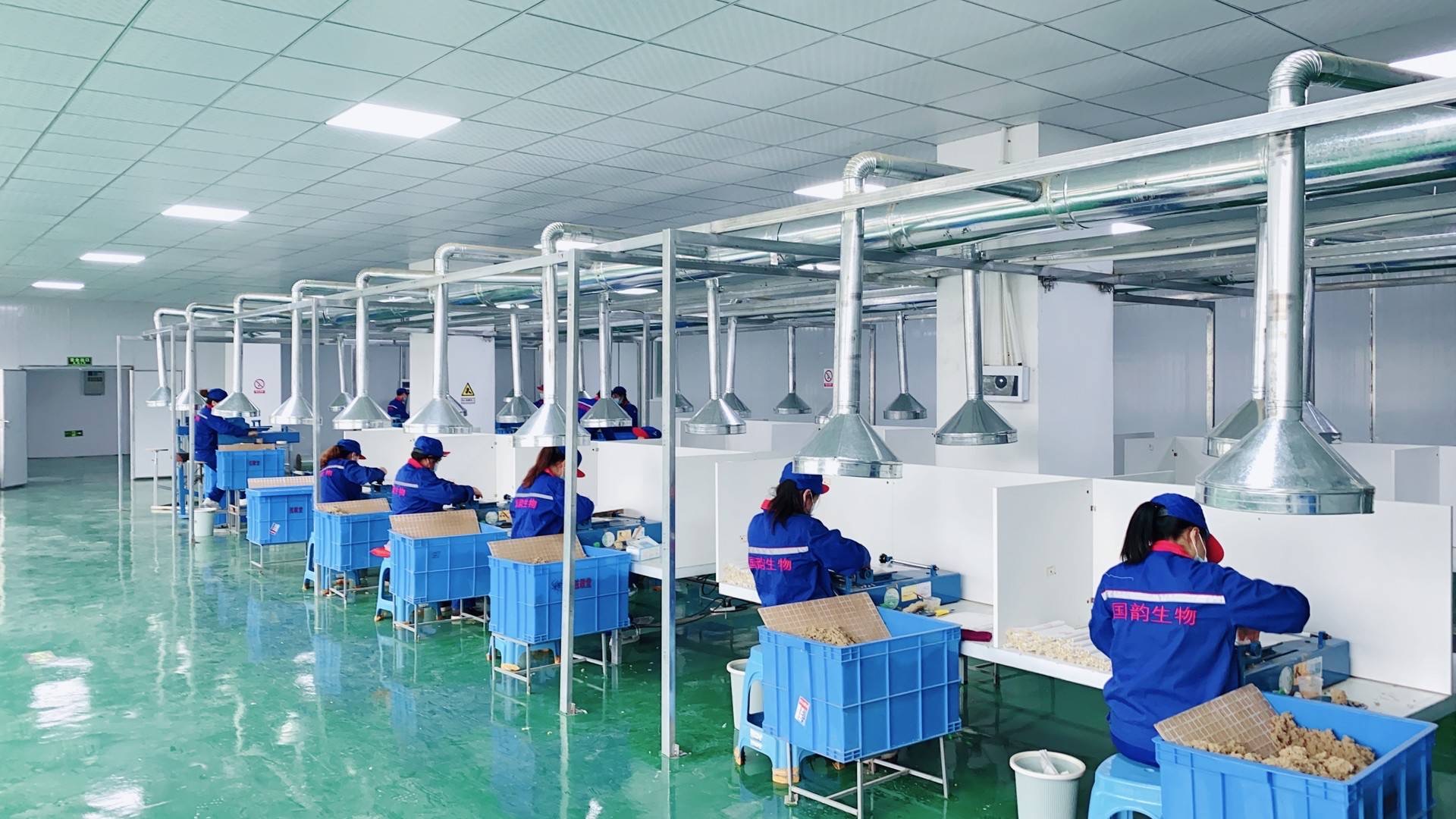 Guizhou Wuchuan Guoyun Biotechnology Co., Ltd. – aceite de oliva 3
