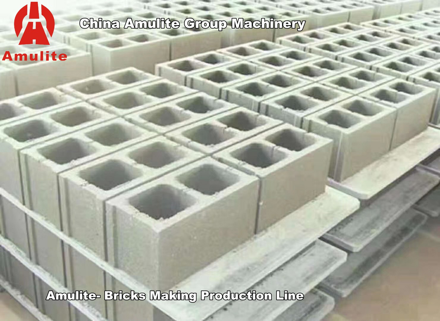 4-10 Automatic Hollow Brick Machine/Red Brick Production Line/Clay Brick Making Plant