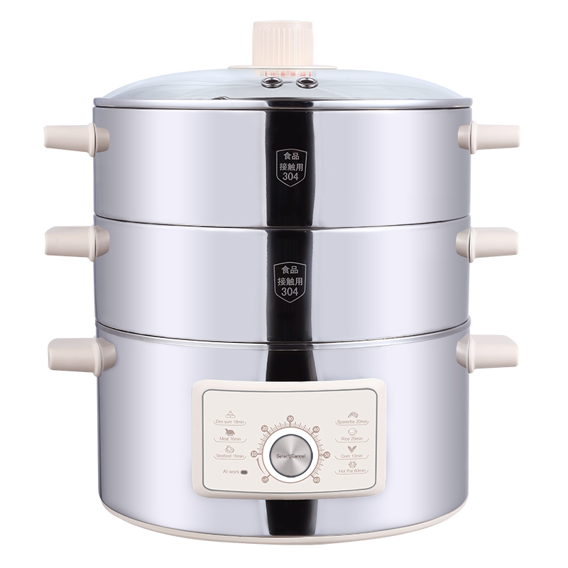 electric steamer