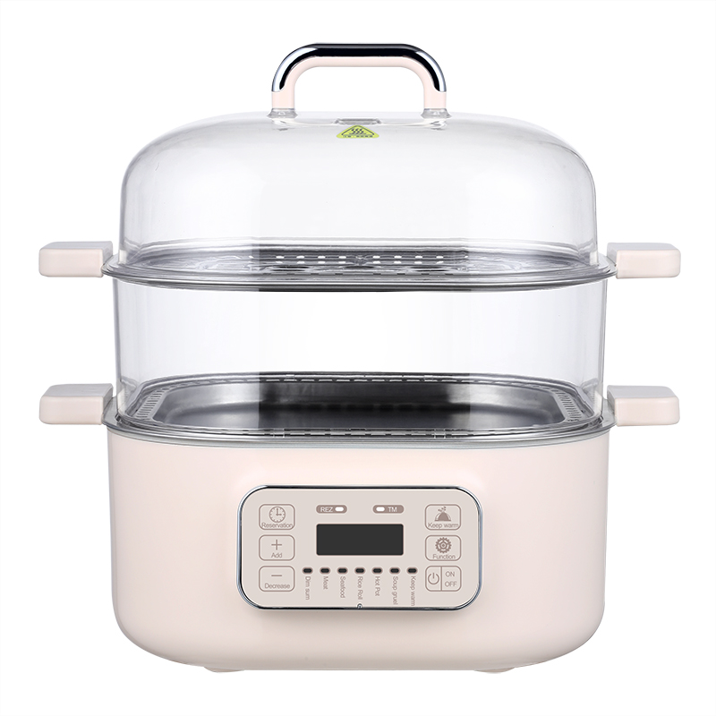 electric steamer