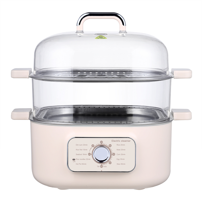 Electric steamer