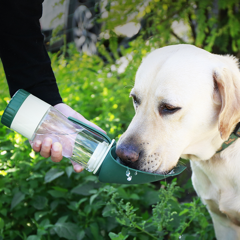 travel water bottle