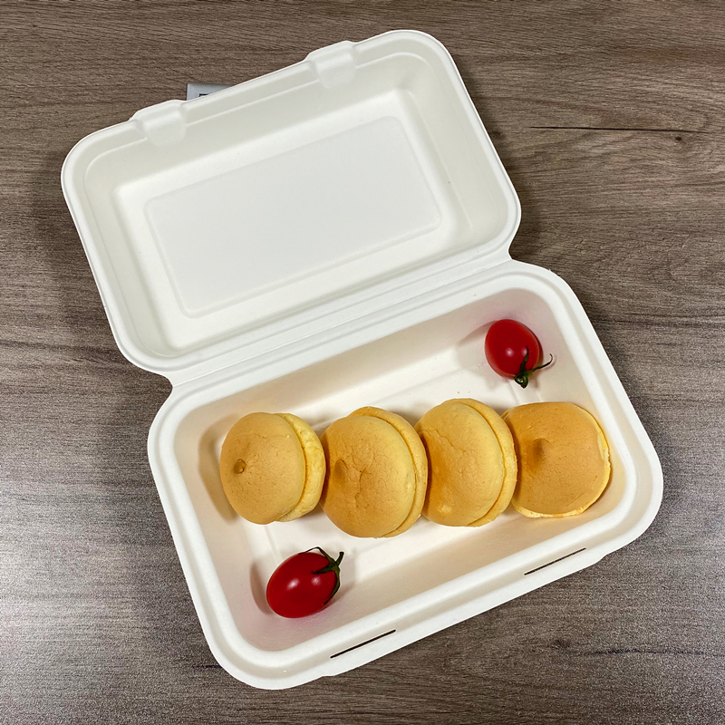 MVI ECOPACK 9" X 6” Biodegradable Sugarcane Bagasse Takeout Container