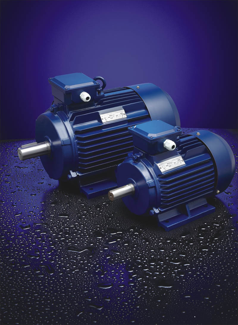 Taizhou Rongde Electromechanical Co., Ltd. – other motors and accessories 3