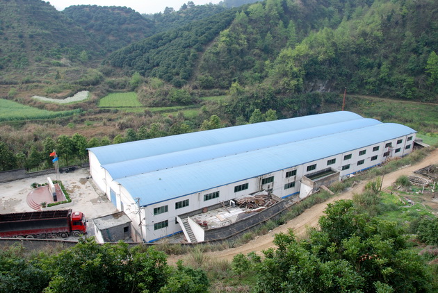 Guizhou Healthy Tea Technology Co., Ltd. – Photos produits 3