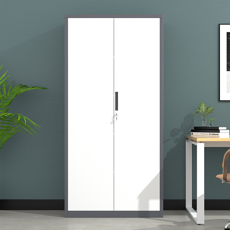 2 steel doors filing cabinet