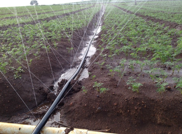 Spray hose rain hose