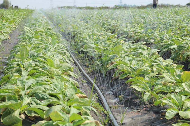 pray hose rain hose for spray irrigation