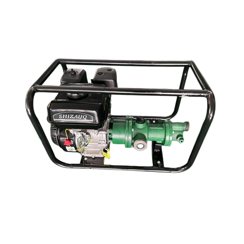SHIZAI Gasoline Engine Manual Start Irrigation Pumps High Quality Gasoline Pump Water Pump