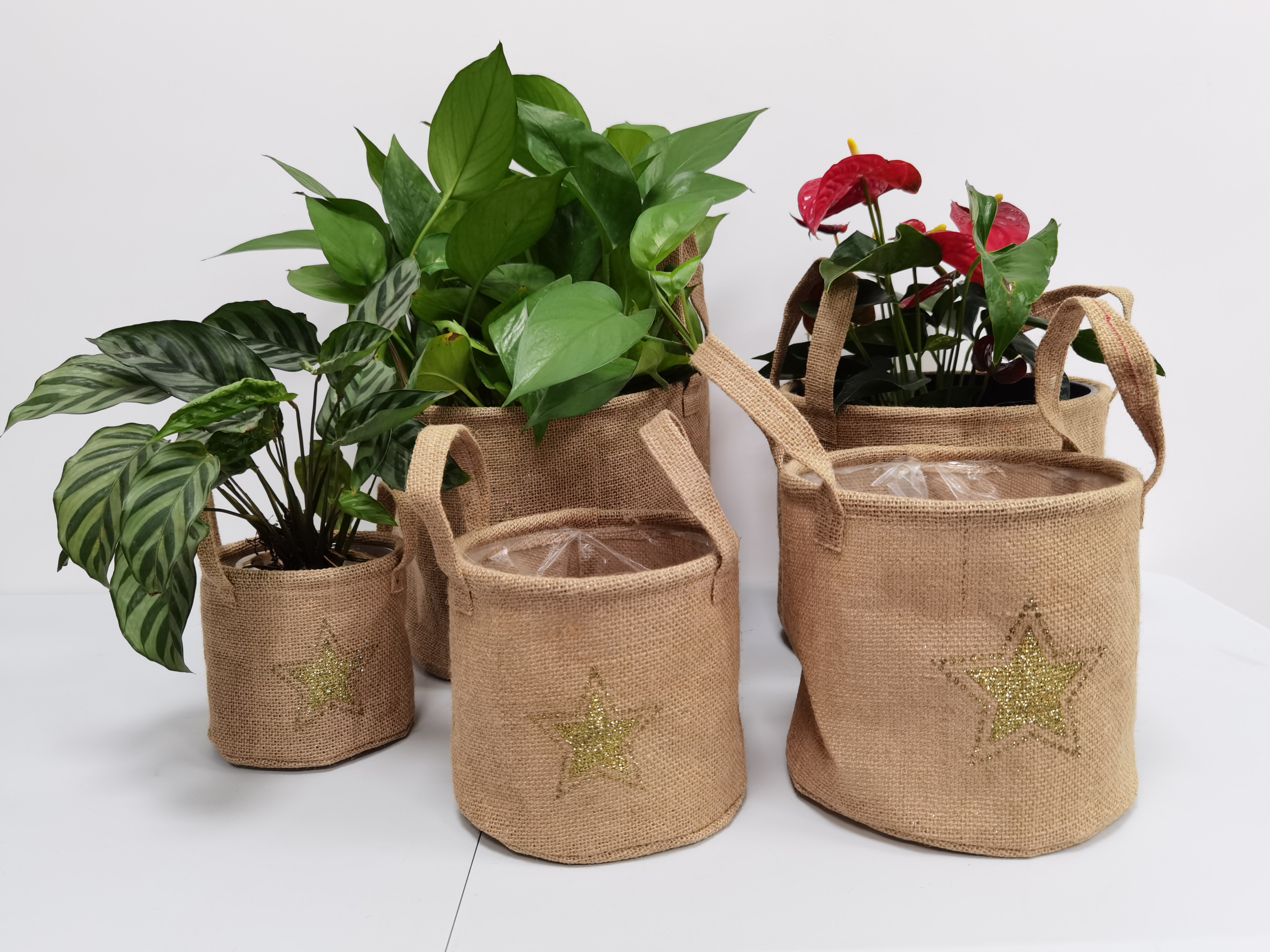 Jute Pot