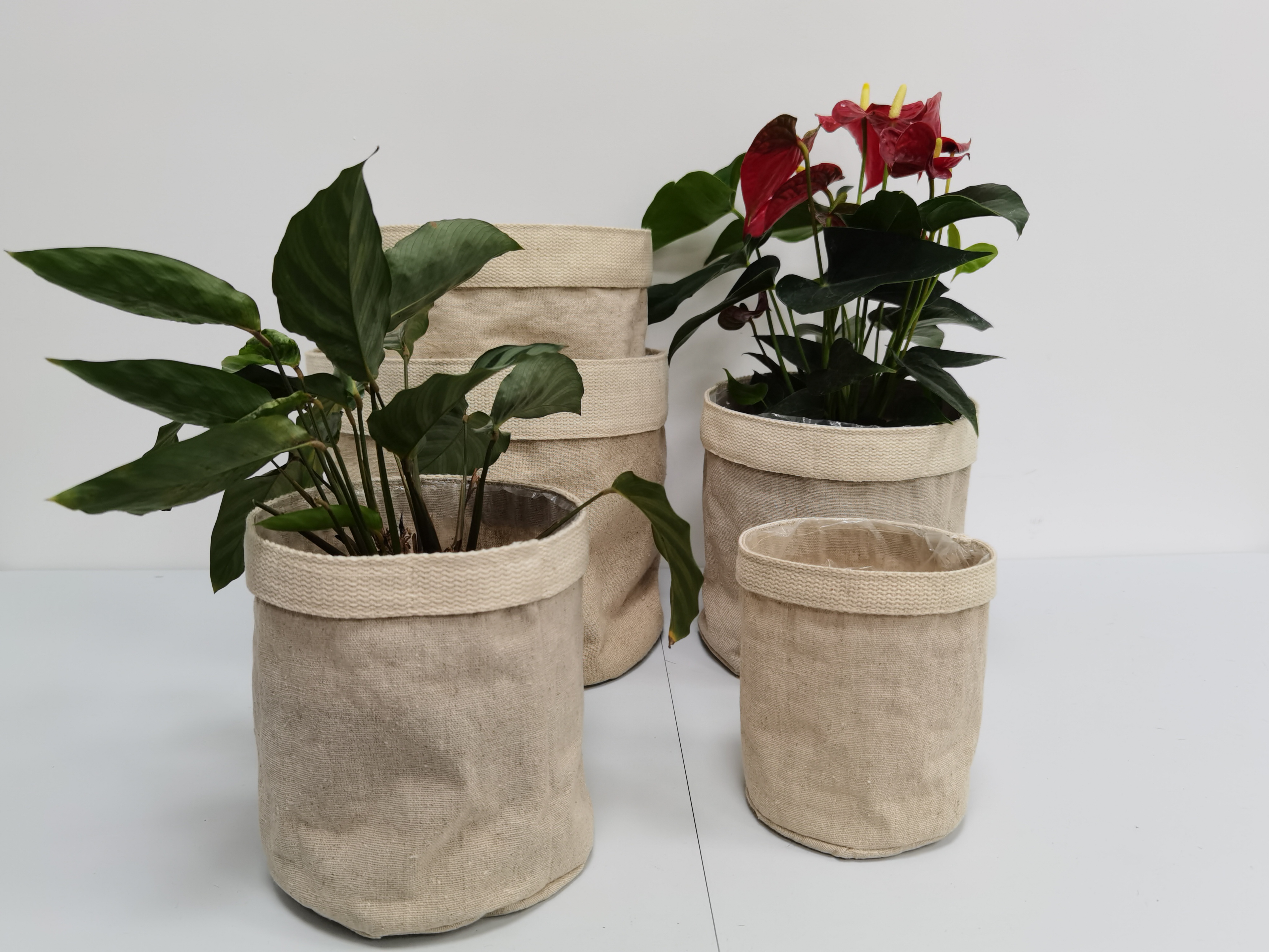 Canvas Bag