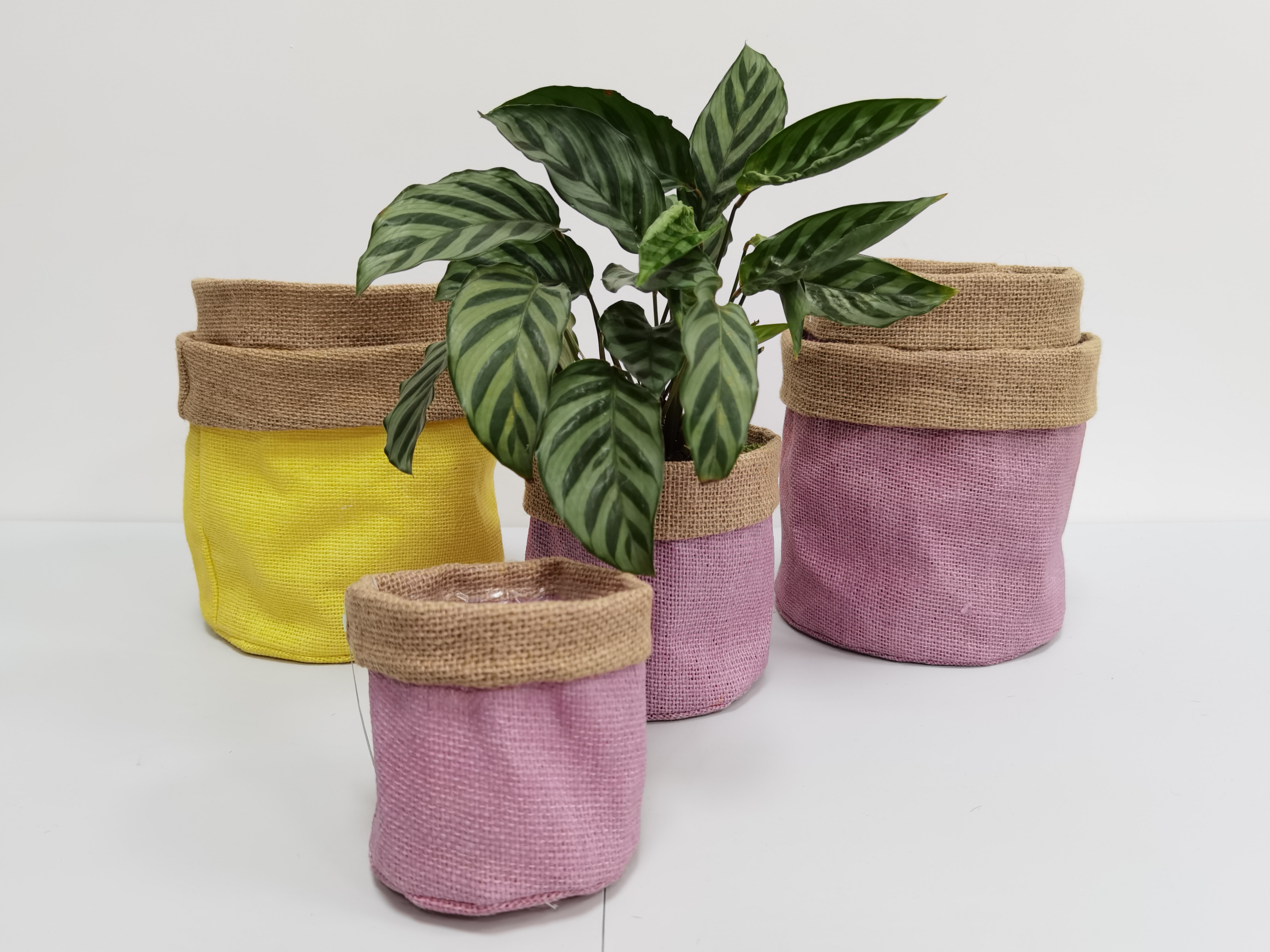 Jute Bag