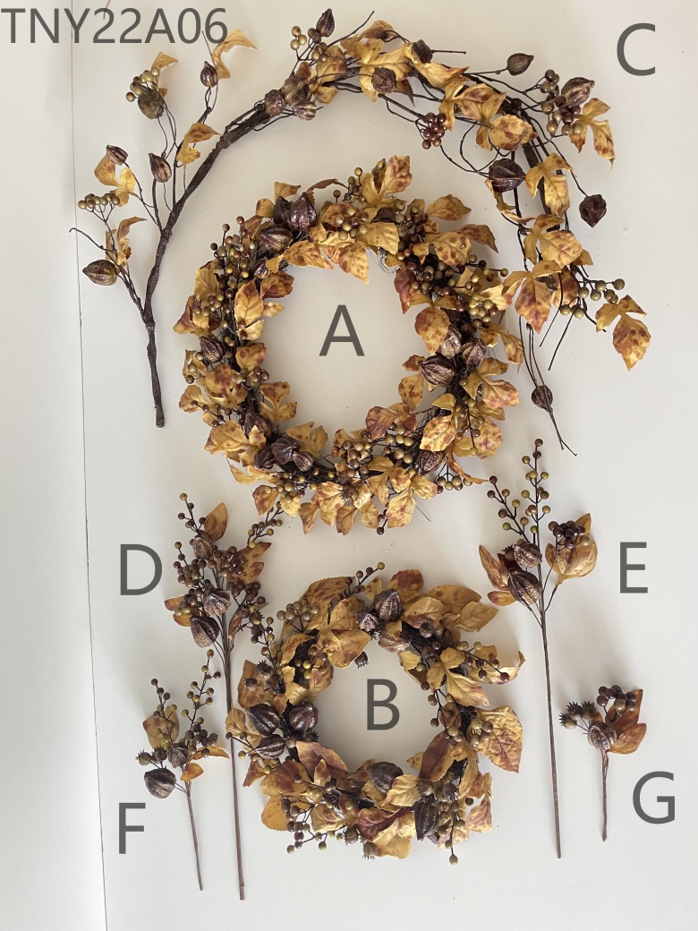 Autumn Fruits & Leaf Collection