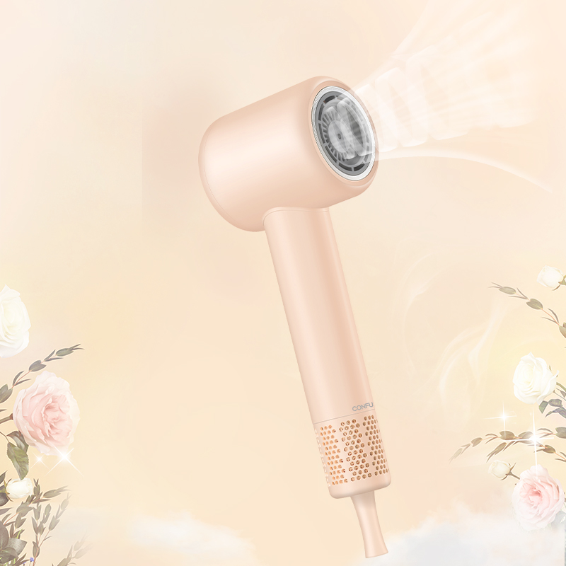 Household hair dryer F2