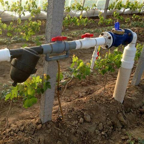 screen filter for irrigation system