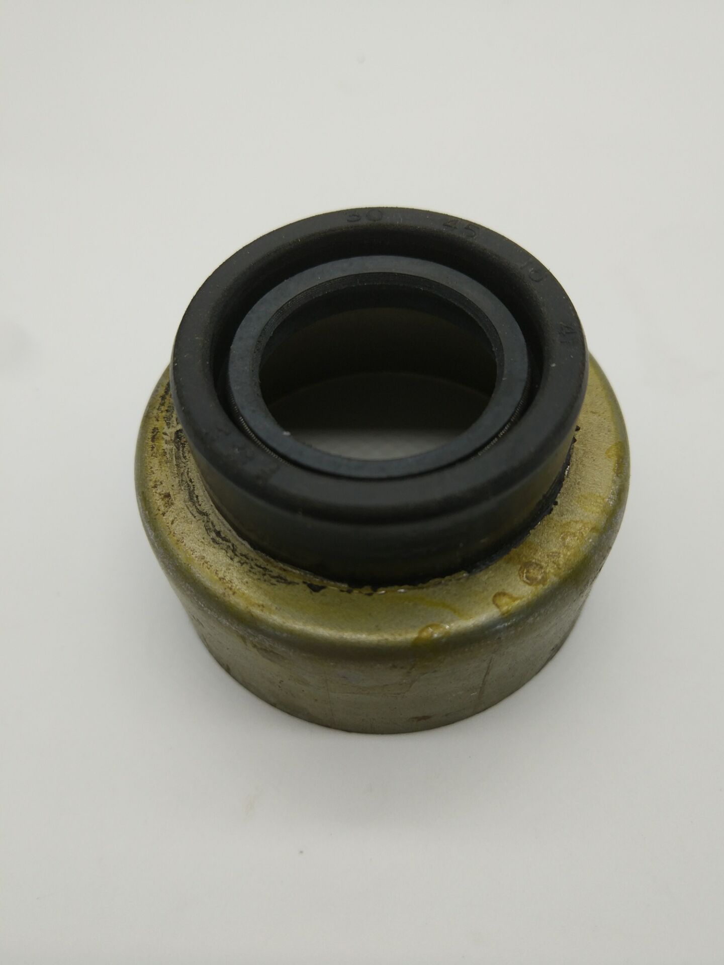 Oil Seal