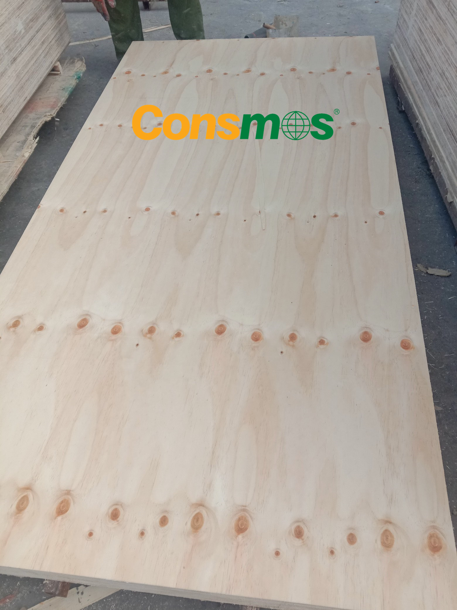 CDX Plywood CDX Pine plywood for construstion structral