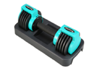 Adjustable dumbbell
